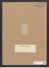 Diatomeae indet. Zeichnungen Sammlung Grunow Nr. 1831 (NHMW-BOT-W0368758)